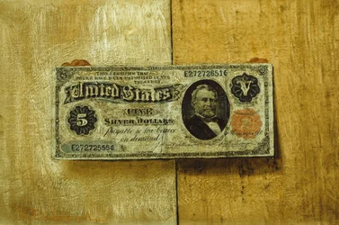 Fünf-Dollar-Schein
